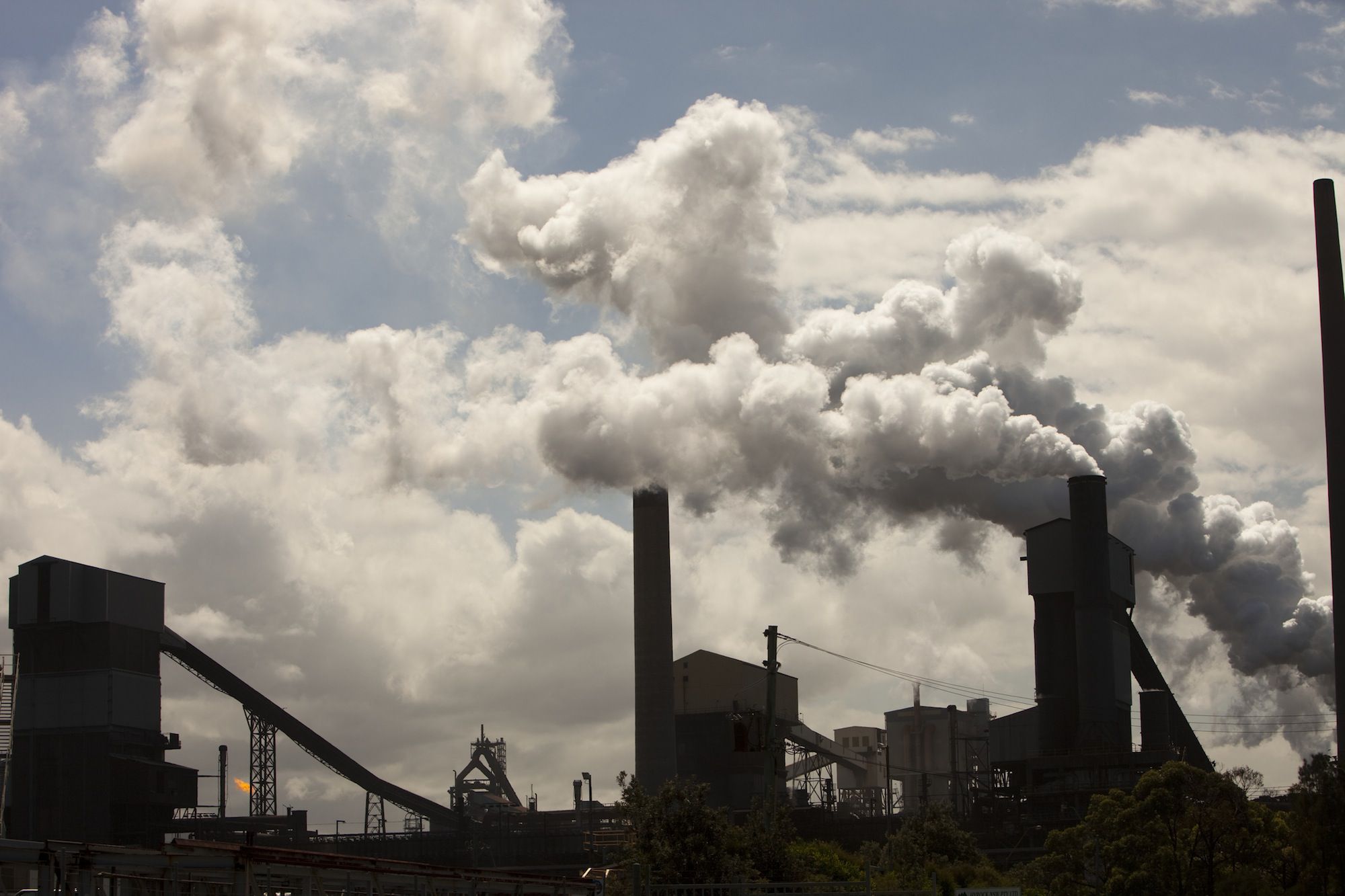 Carbon Emissions Trading: Definition, How It Works