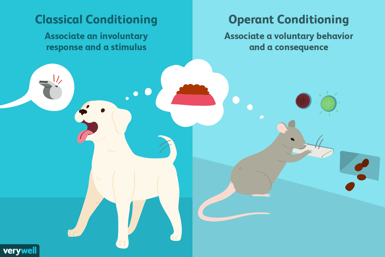 differences-between-classical-vs-operant-conditioning