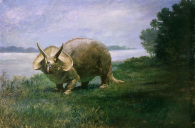 the triceratops