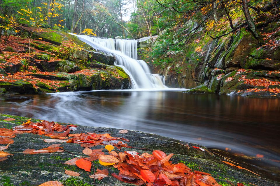 Top Places to See the Fall Foliage in the Northeast
