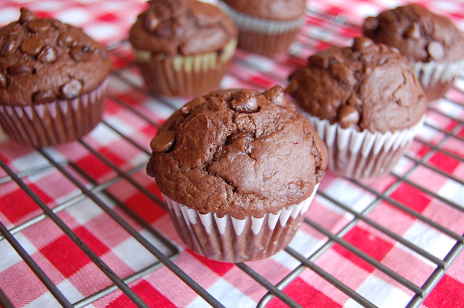 Chocolate Chip Chocolate Muffins Recipe