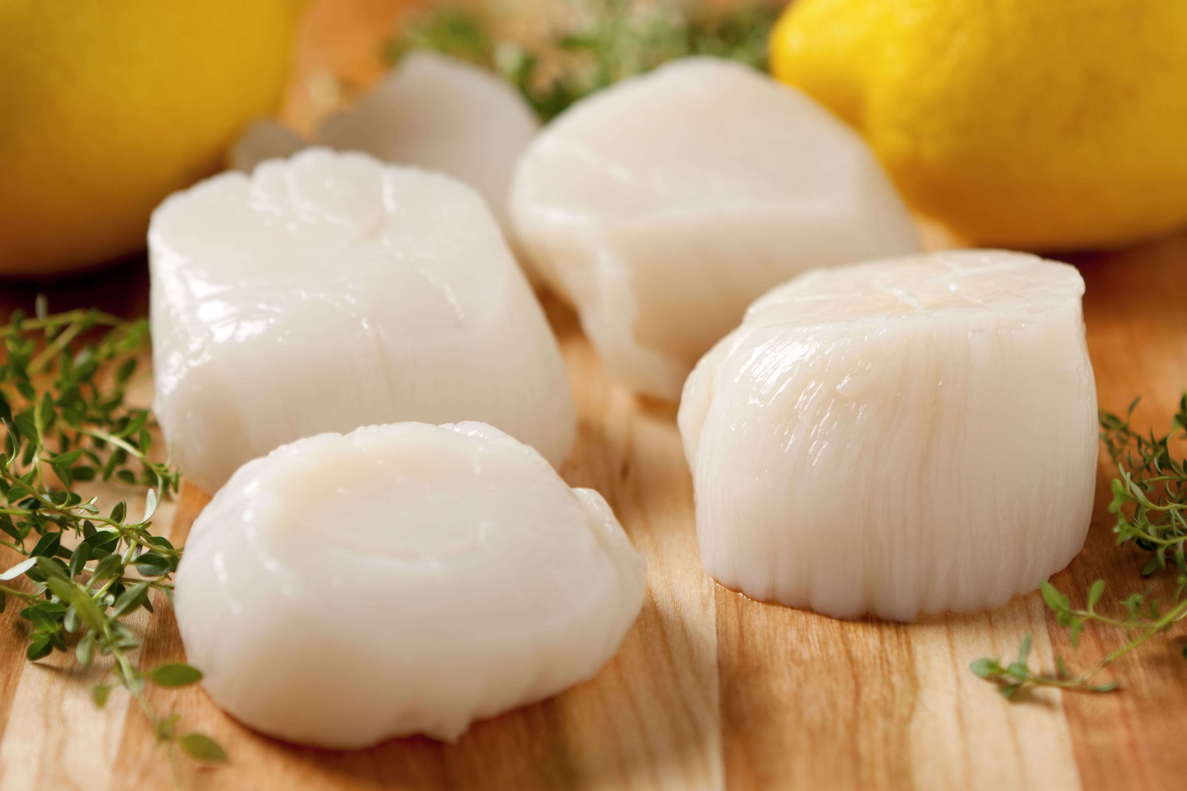 fresh sea scallops 154961718 582140443df78cc2e843df74