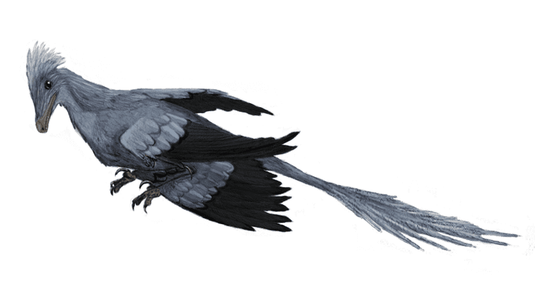 microraptor jurassic park