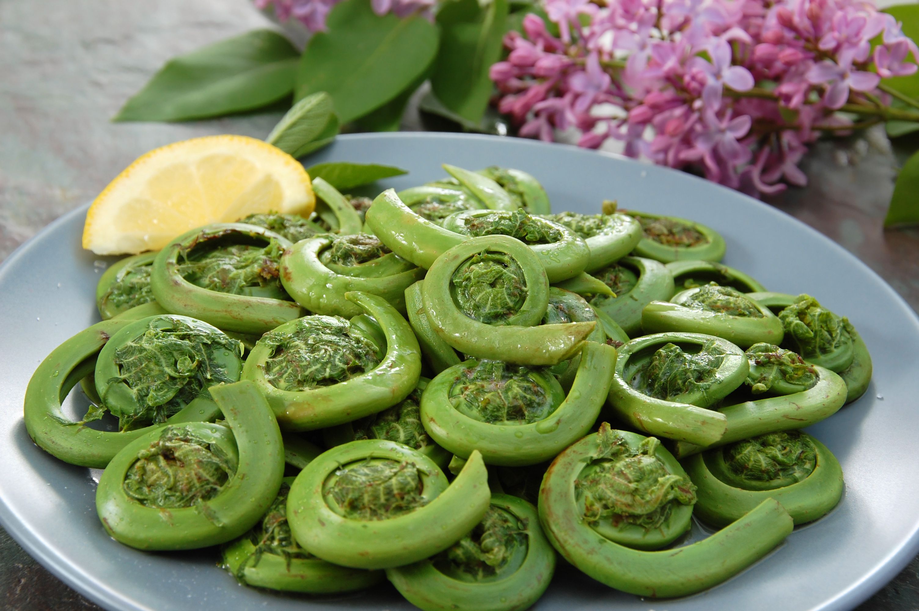 Sauteed Fiddlehead Ferns Recipe