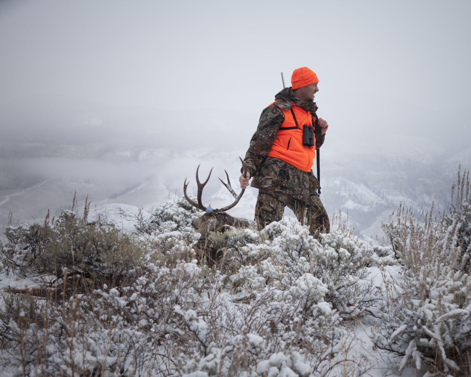 Best LeverAction Hunting Rifles for Deer and Big Game