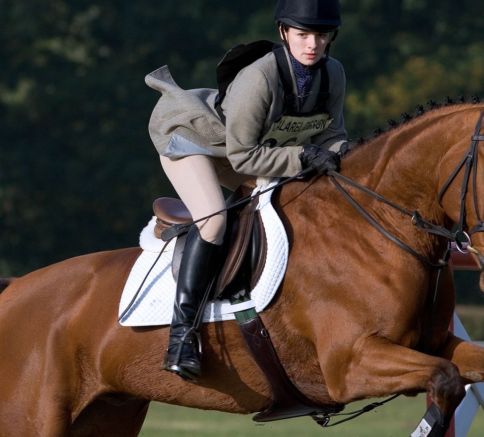 What to Wear at an English Horse Show