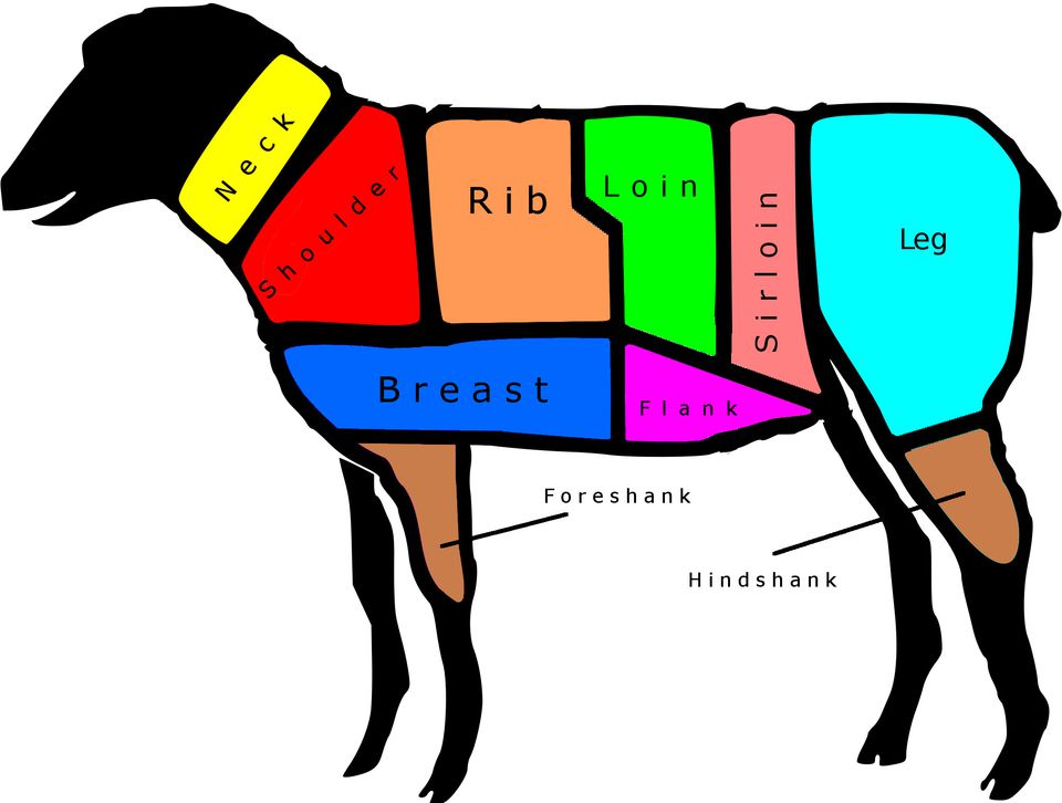 On the Lamb A Chart of the Major Cuts From Leg to Loin