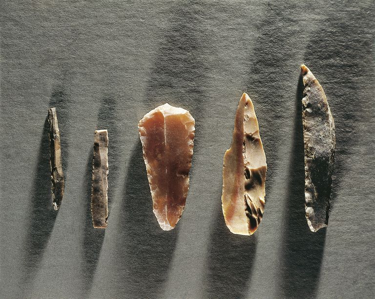 Prehistoric Stone Tools Categories and Terms