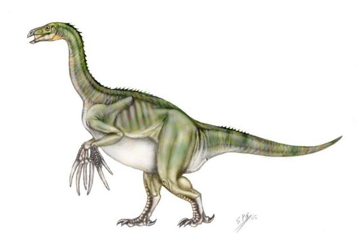 therizinosaurus family
