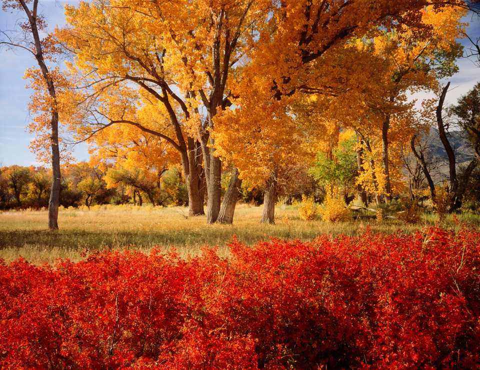 A State-by-State Guide to Fall Colors