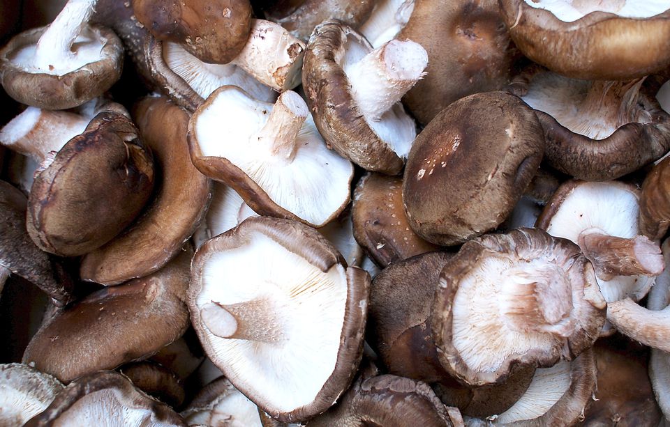 types-of-mushrooms-guide-to-cultivated-mushrooms