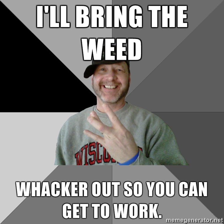 4/20 Humor - The Best Weed Jokes And Memes For 4/20