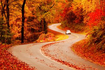  Fall Foliage NC-fall-color-tail-of-dragon-robbinsville-vnc-1500-56a414b83df78cf77280d4cb