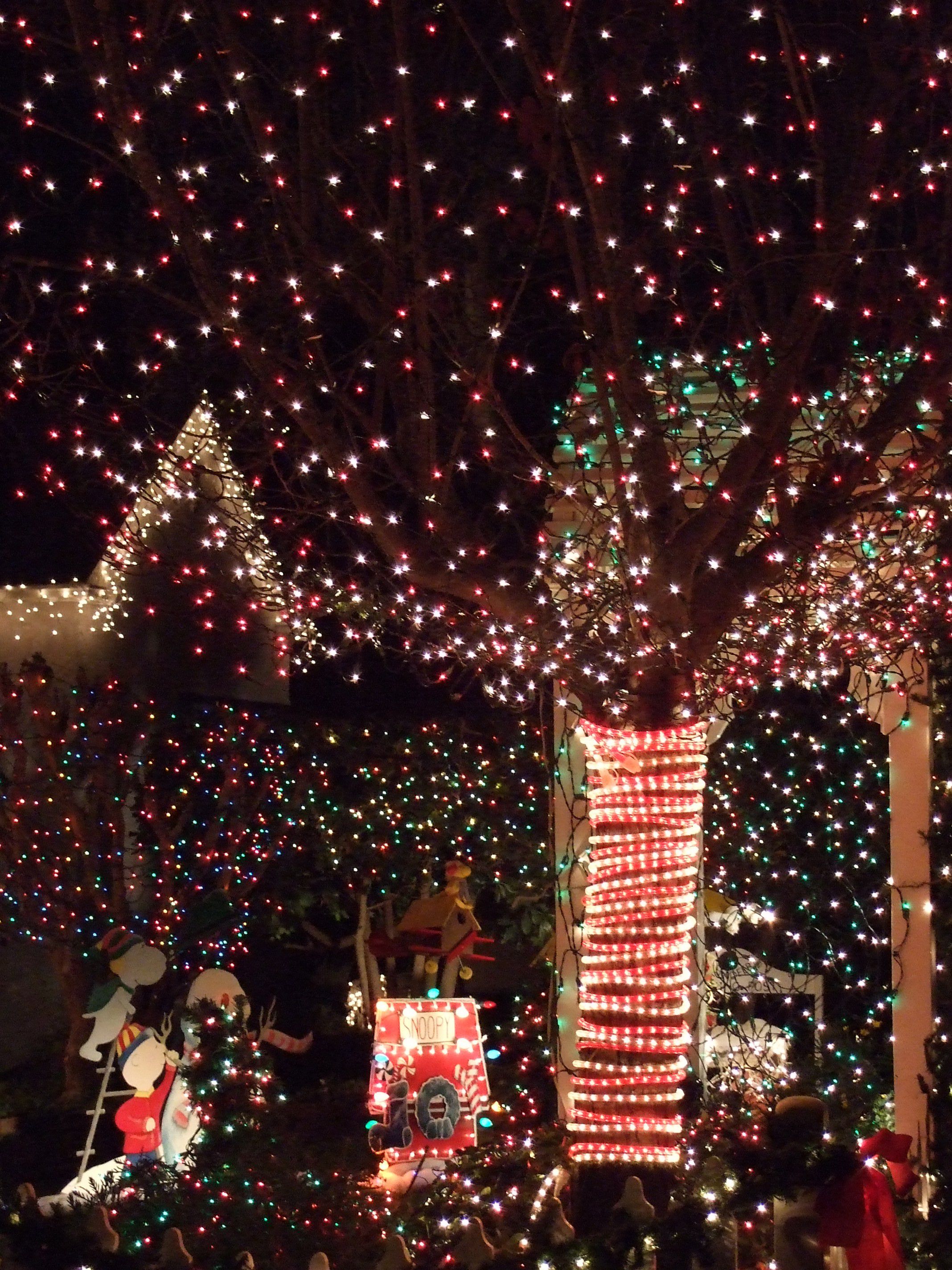 Christmas Lights Displays on Santa Rosa s Walnut Court