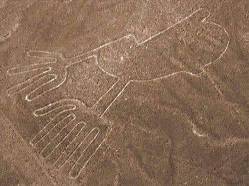 The Nazca Lines Gallery