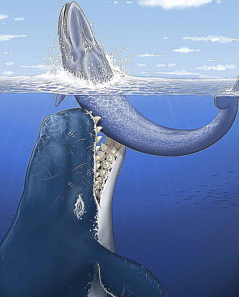 Leviathan Prehistoric Whale