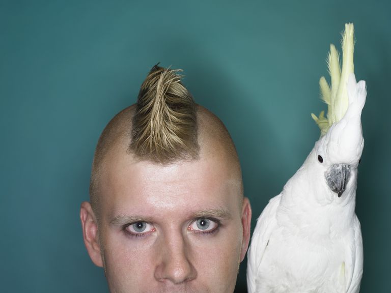 Trends in Men's Hair From 2000 to 2009