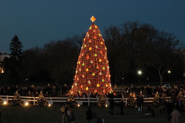  Christmas  in Washington  DC  A Photo Gallery of Decorations 
