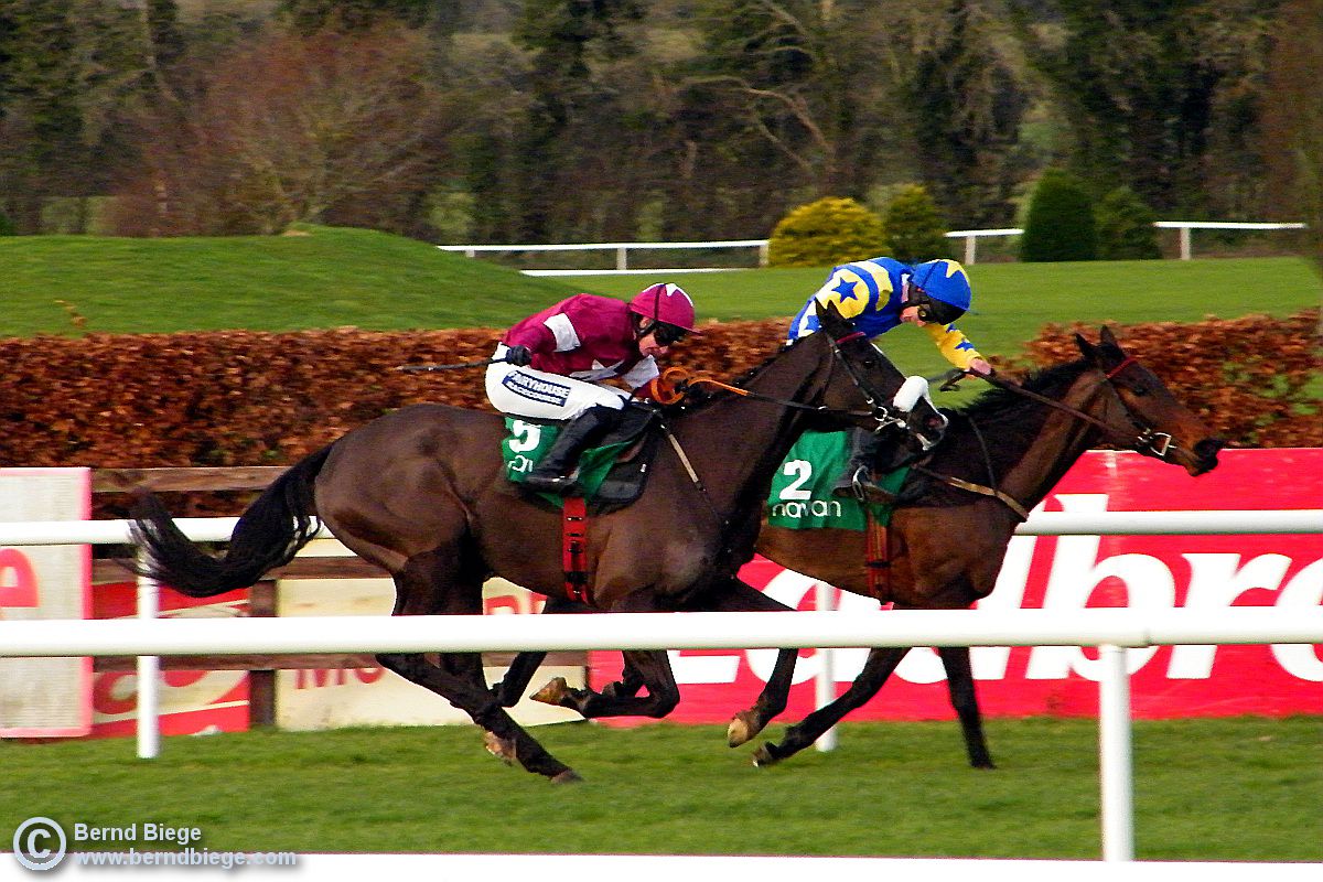 A Guide to Horse Racing in Ireland