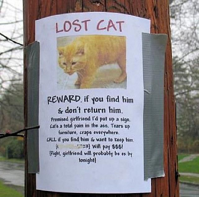 20 Funny Lost and Found Pet Posters