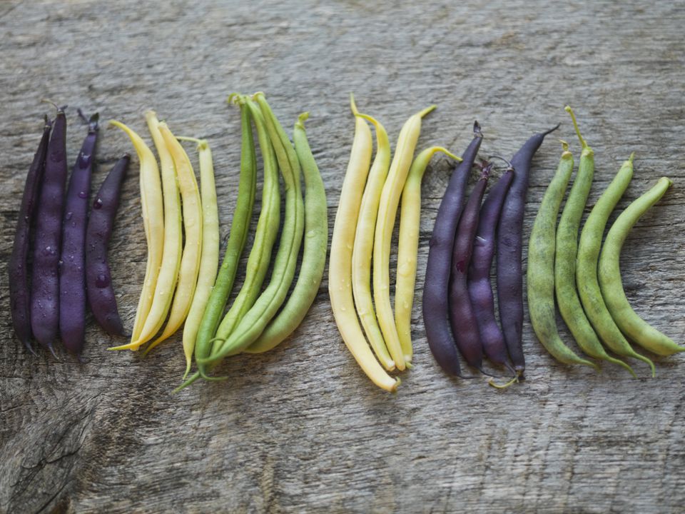 guide-to-string-beans-from-green-to-purple