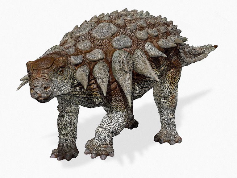 dinosaur with head armor