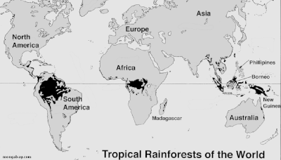 Which Countries Are Within the African Rainforest?