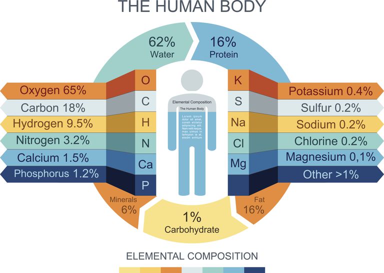 Most of the human body consists of water, which is made from hydrogen and oxygen.