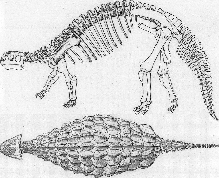 feathered ankylosaurus