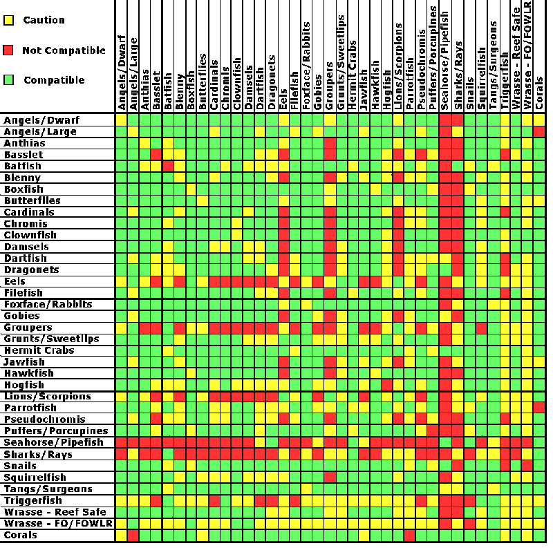 Marine Aquarium Fish Compatibility Chart