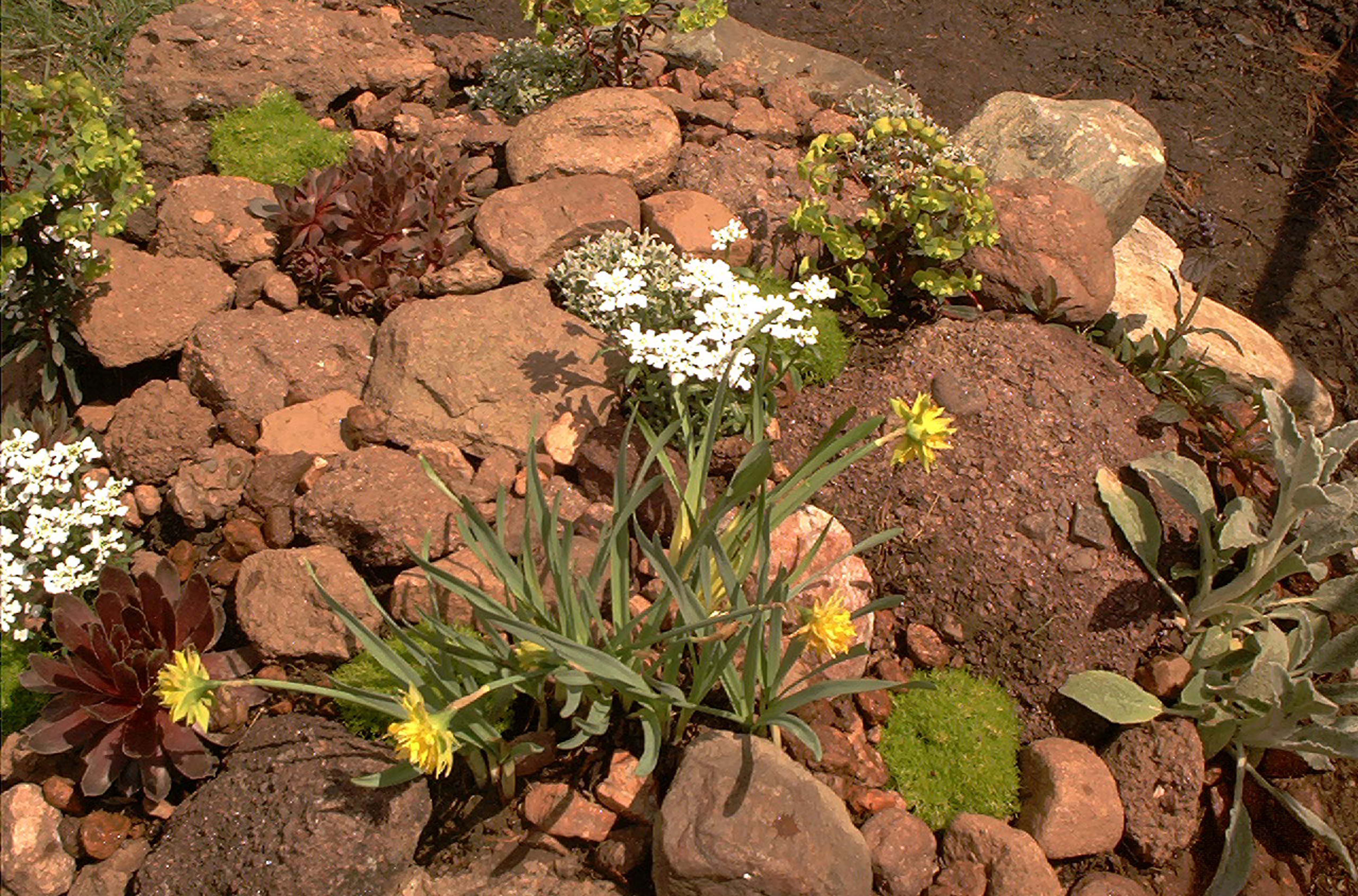 How To Build Rock Gardens Photo Tutorial