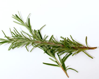 The History of Rosemary as Food