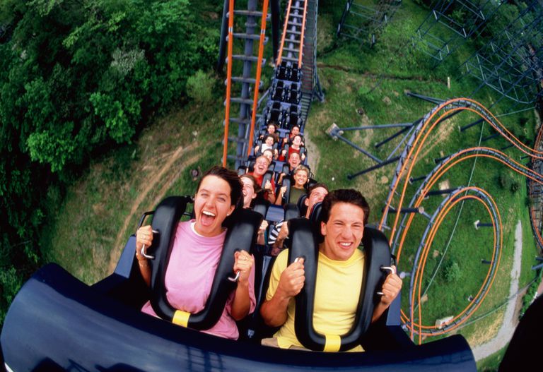 Can a Roller Coaster Cause a Stroke?