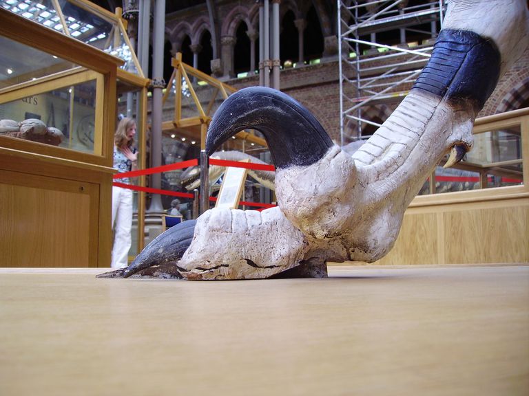 utahraptor