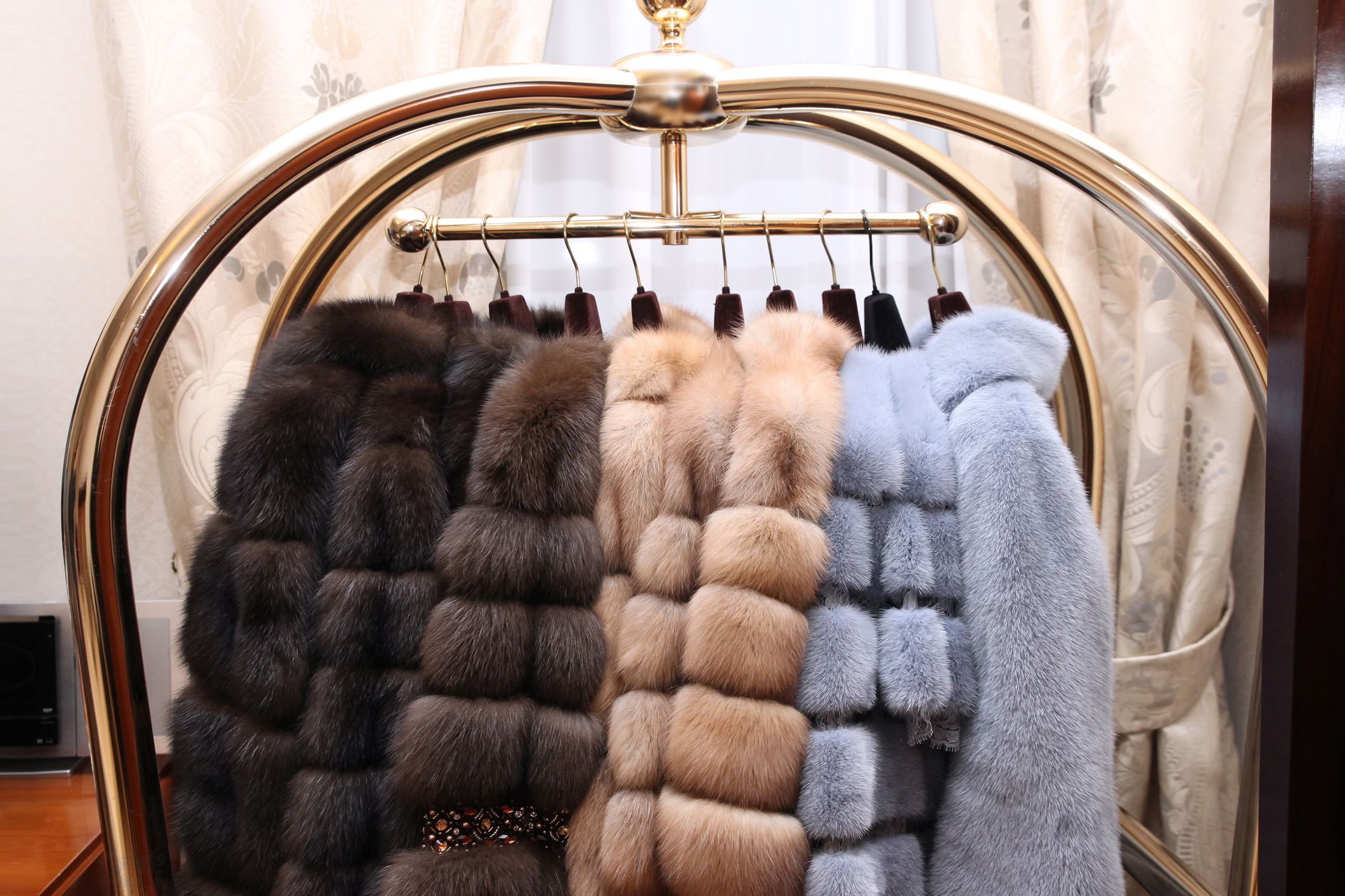 The Animal Origins of What We Wear