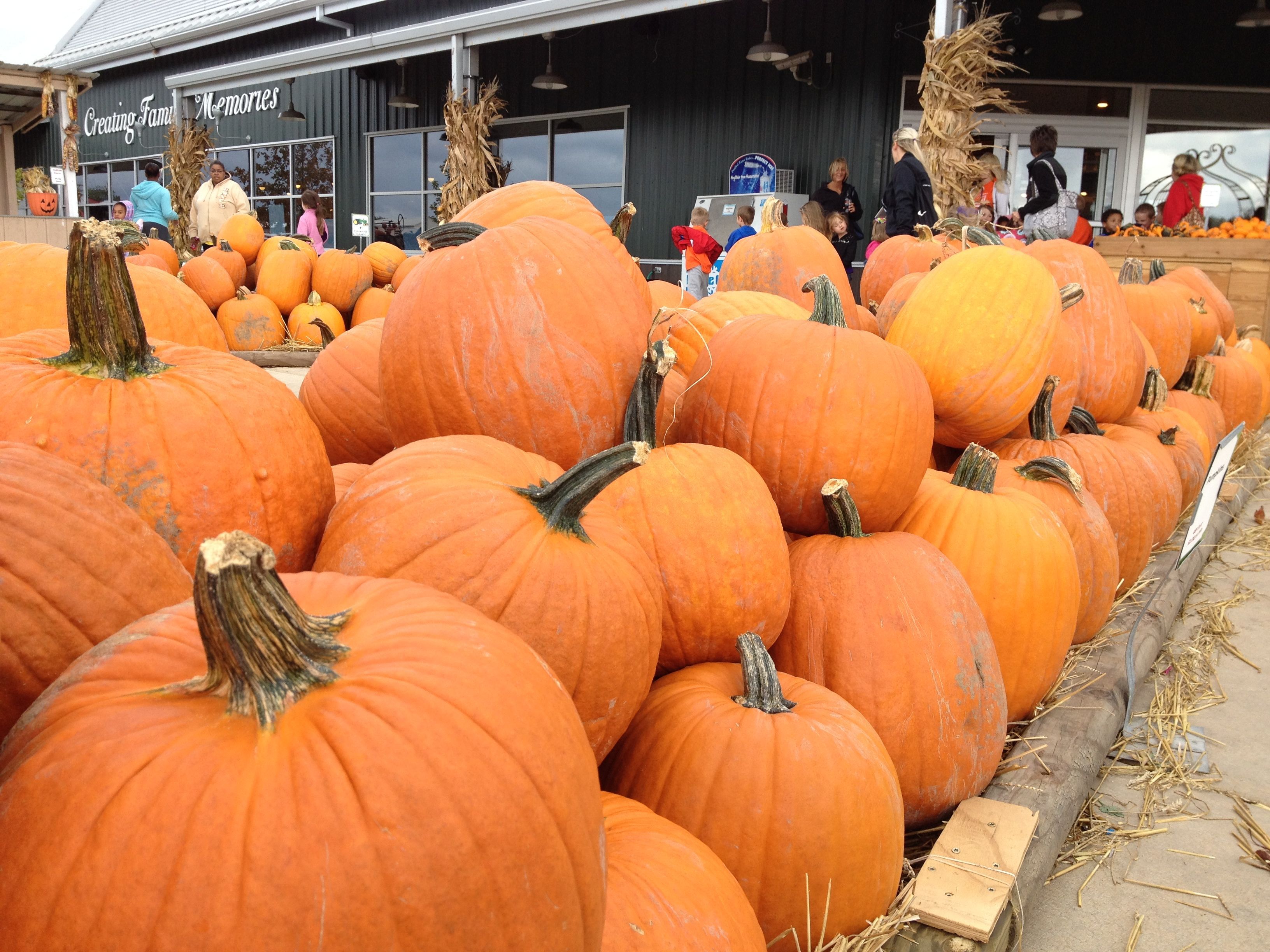 The Best Fall Festivals in St. Louis