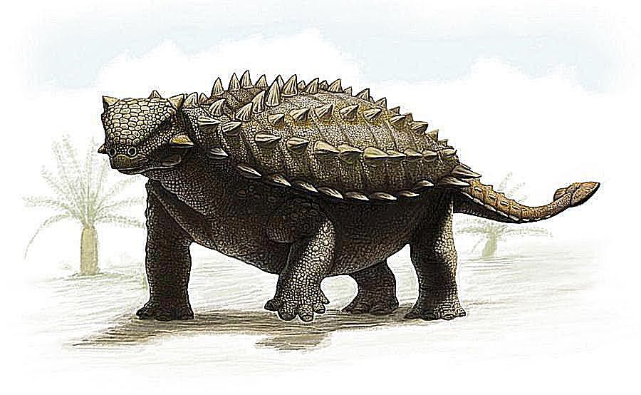 dinosaur with spikes on back and club tail