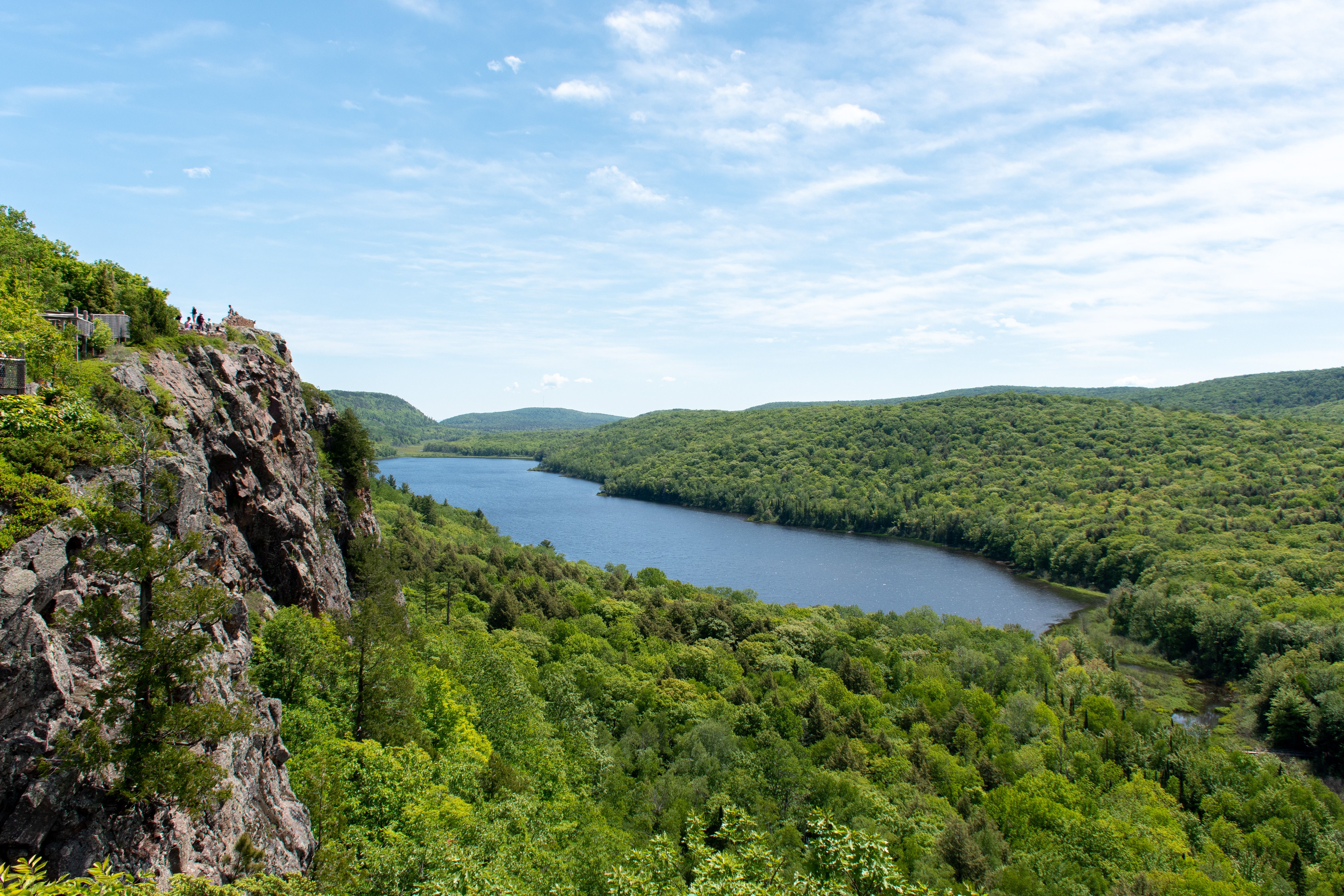 21 Reasons Why Forests Are Important