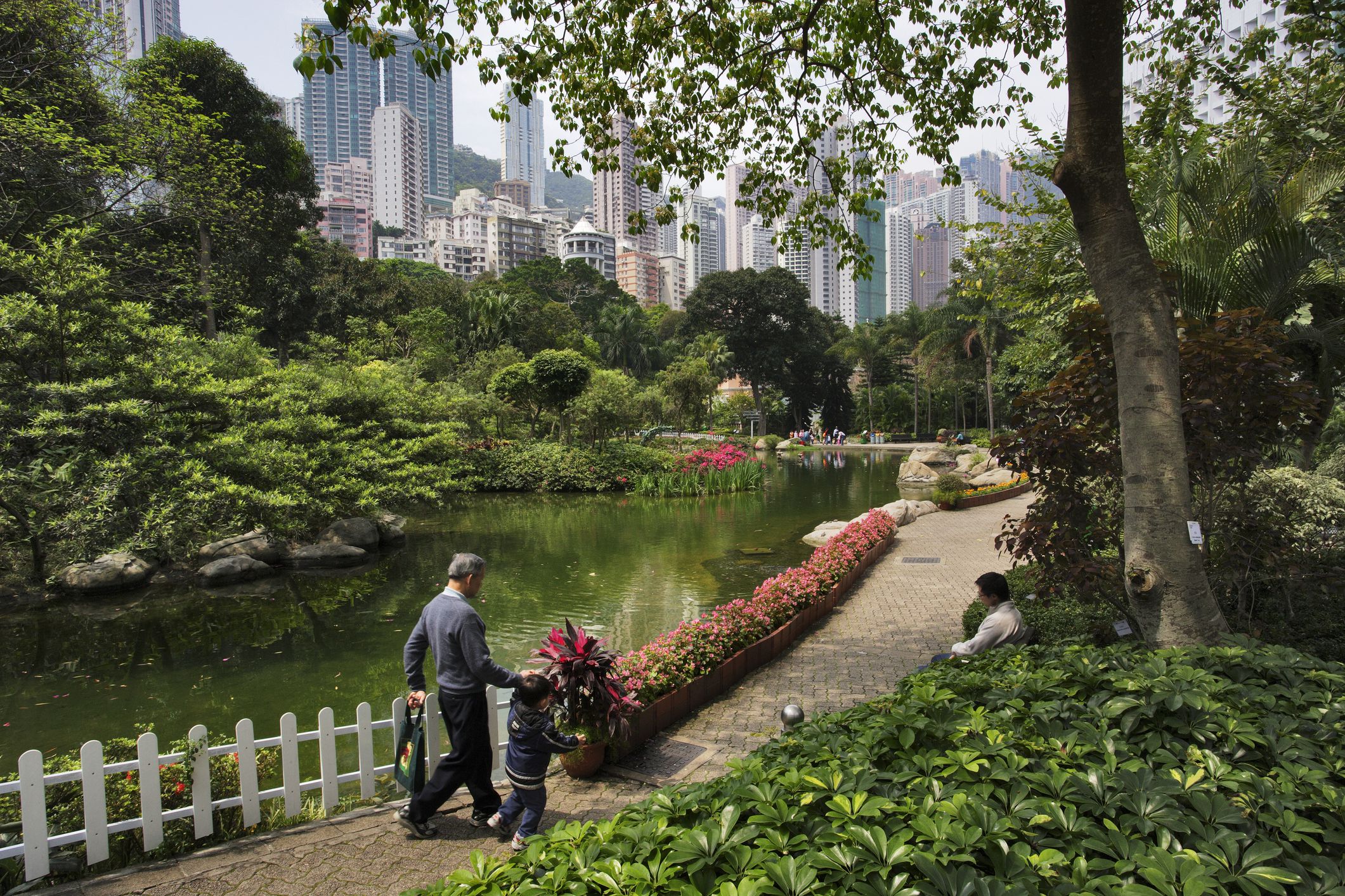 Guide to Hong Kong Park 