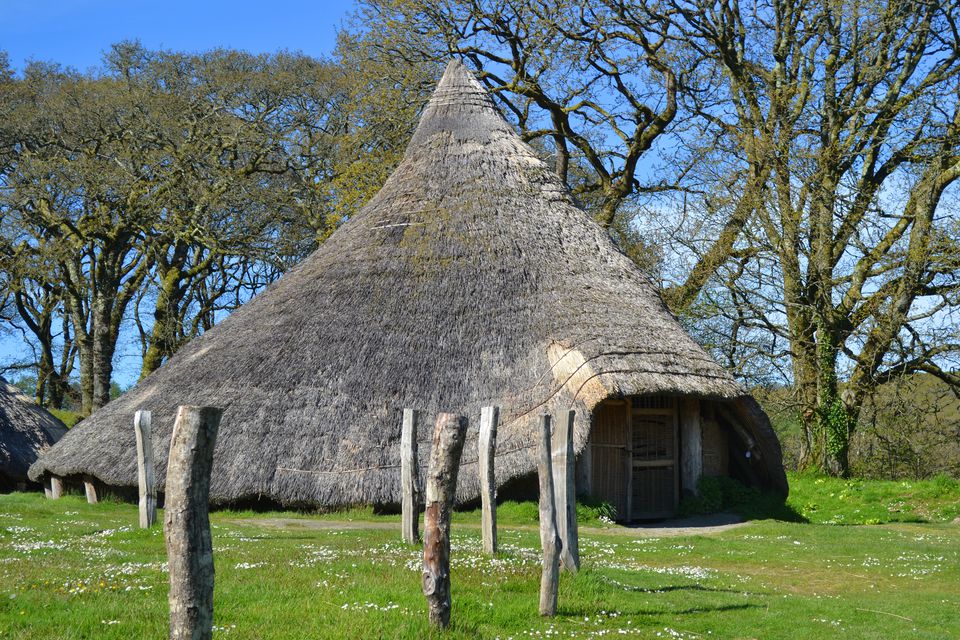 Castell Henllys - An Iron Age Village in Pembrokeshire