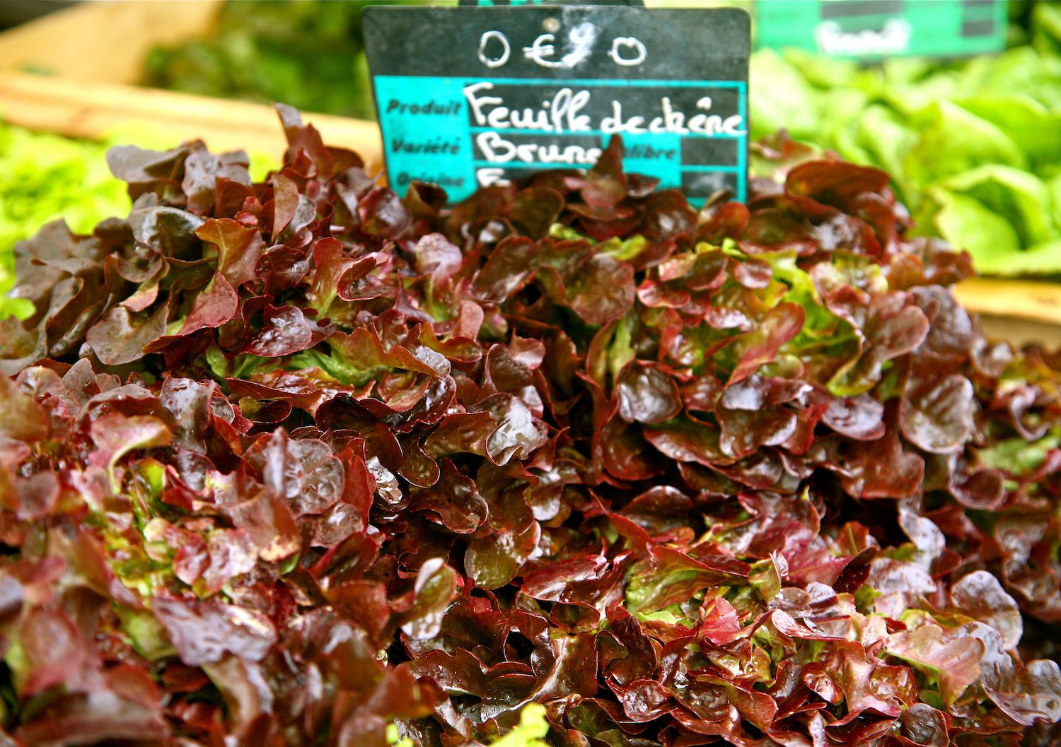 HighYield Vegetable Plants for Small Garden Spaces