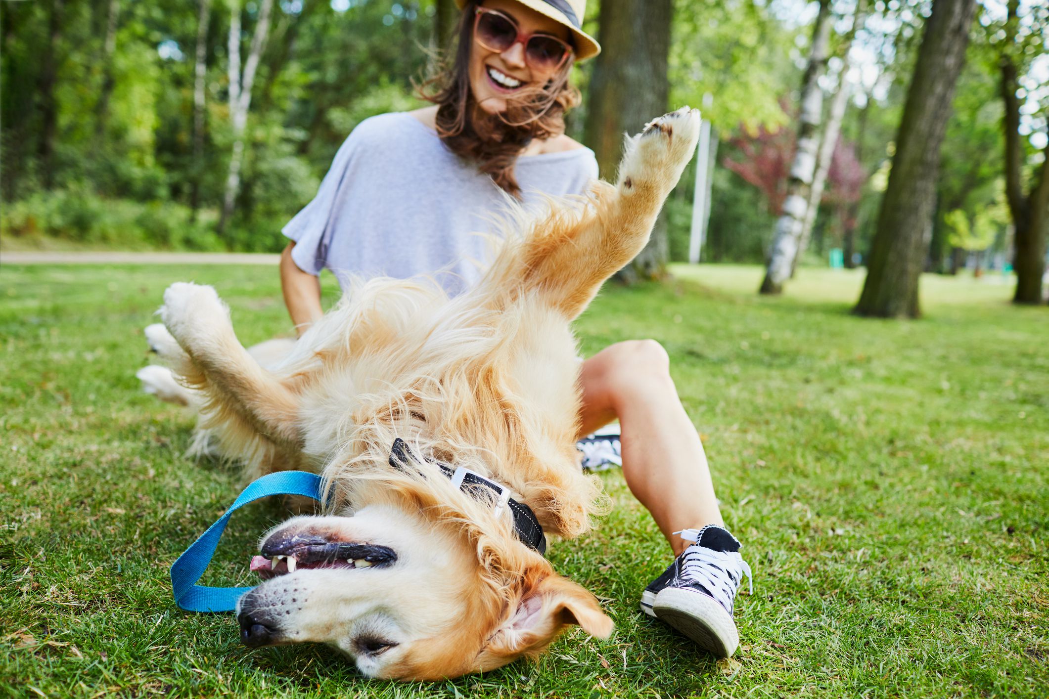Why Do Dogs Like Belly Rubs?