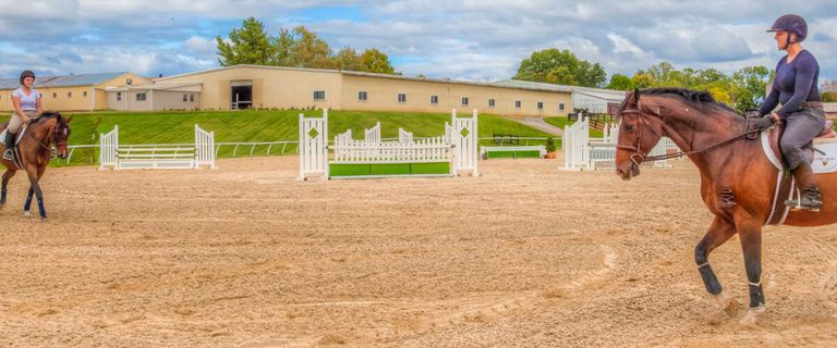 Best Equestrian Colleges And Universities