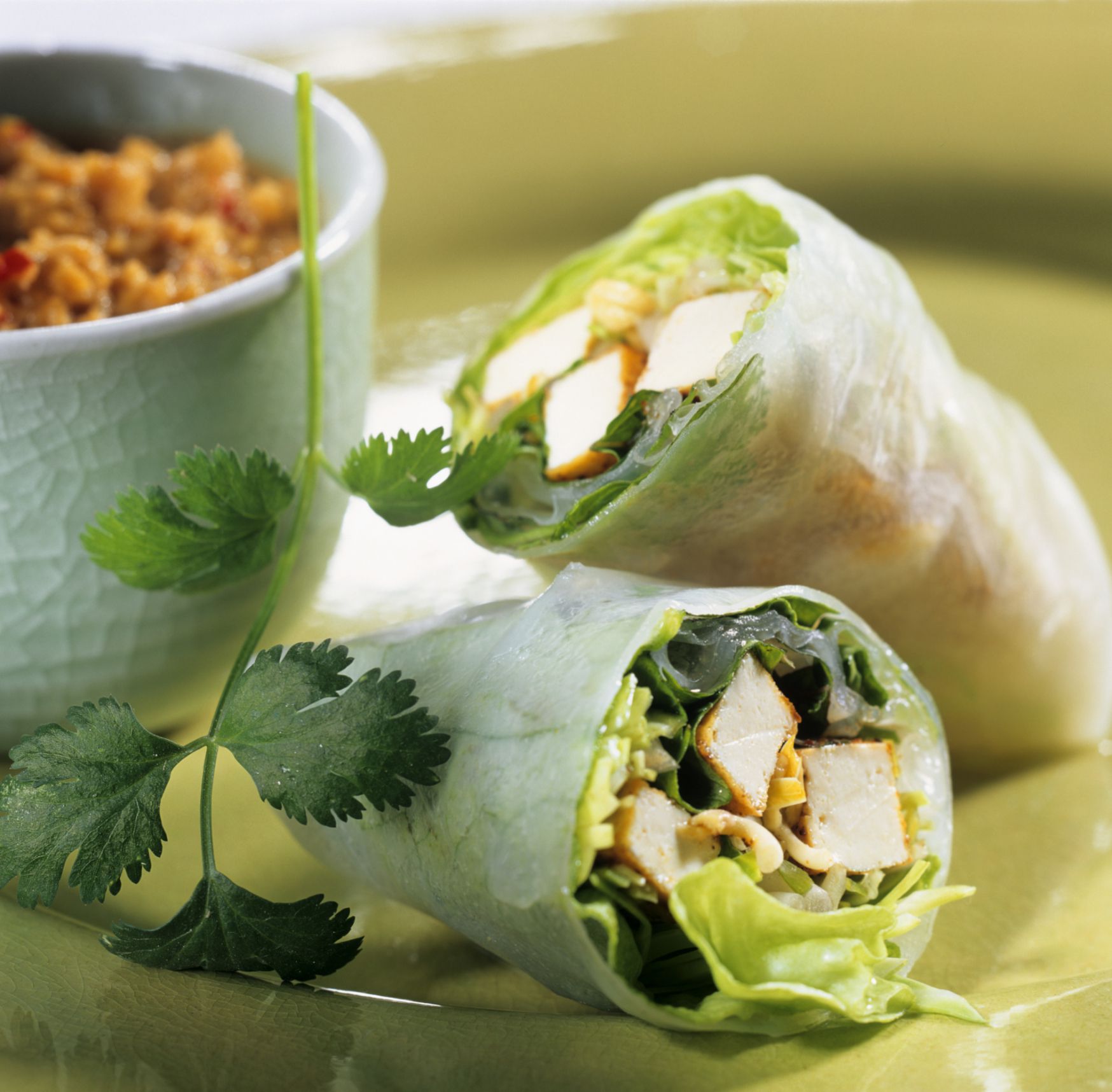 Vegan Vegetarian Tofu Spring Rolls Recipe