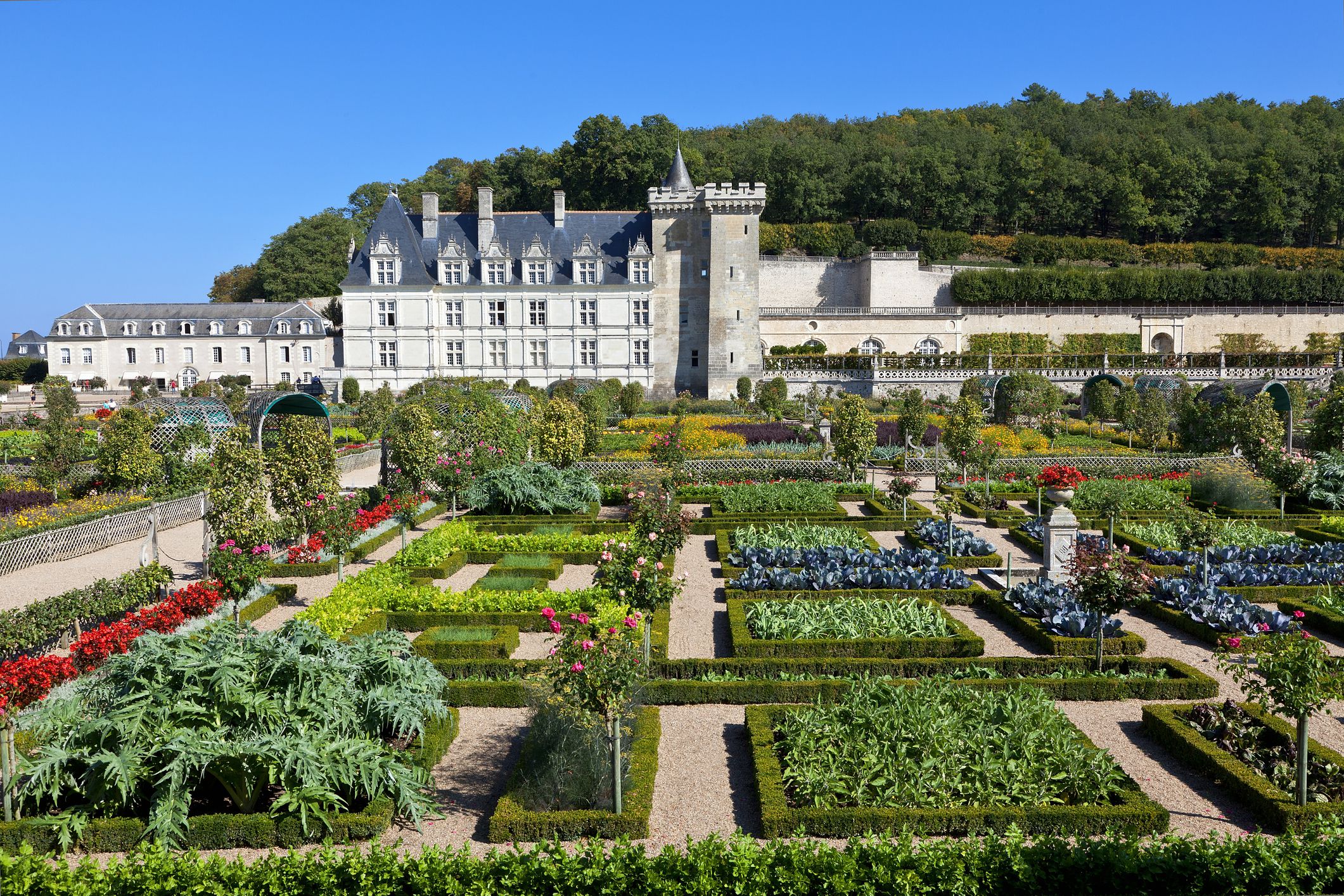 Gardens and Chateaux in the Western Loire Valley