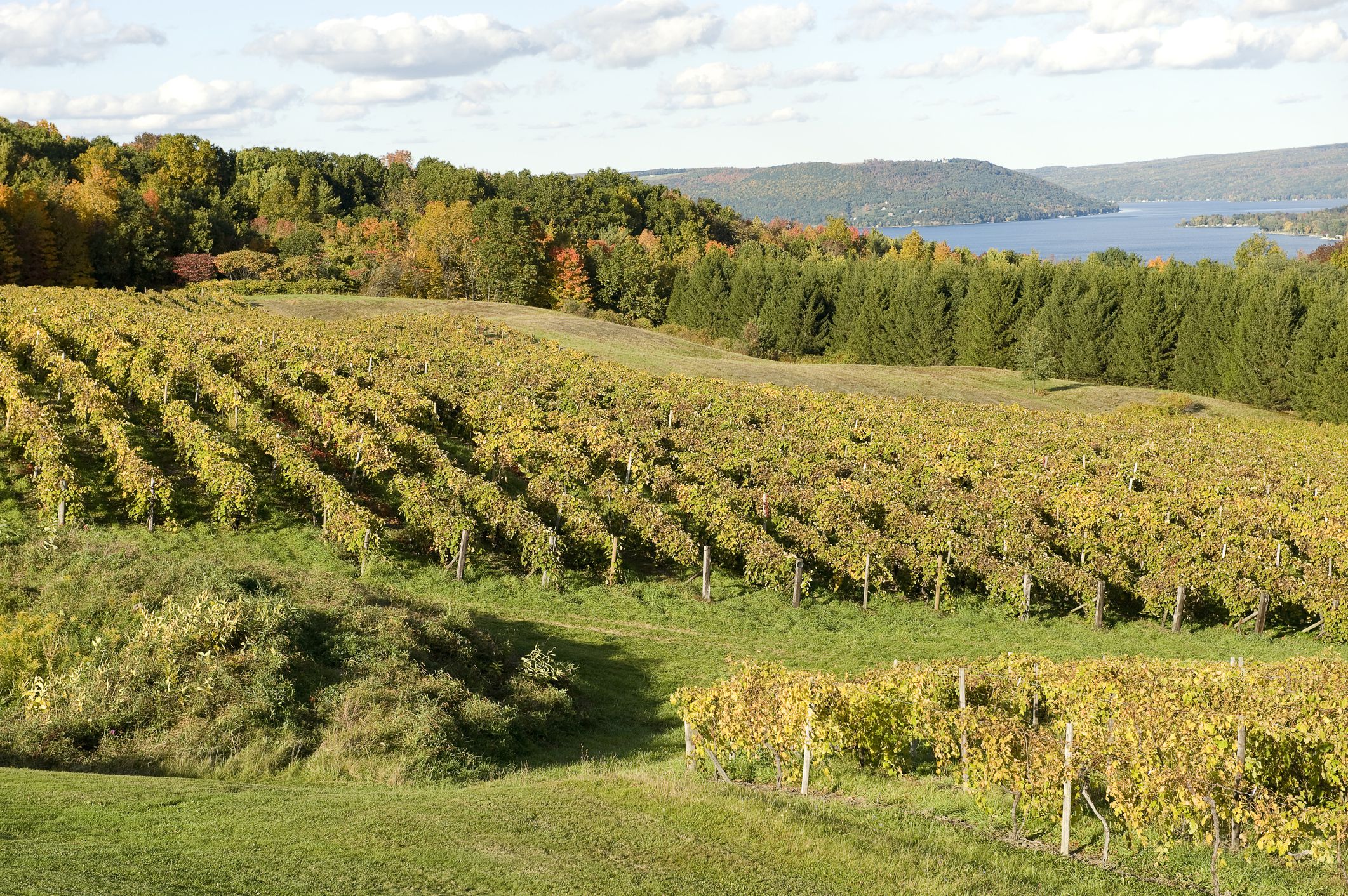 new york winery tours