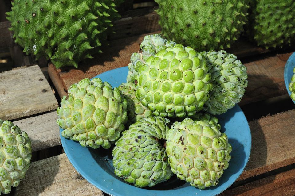 Exotic and Unfamiliar Costa Rican Tropical Fruit