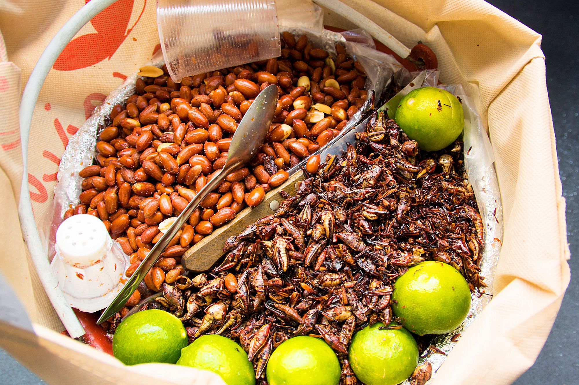 an-introduction-to-some-of-mexico-s-edible-insects