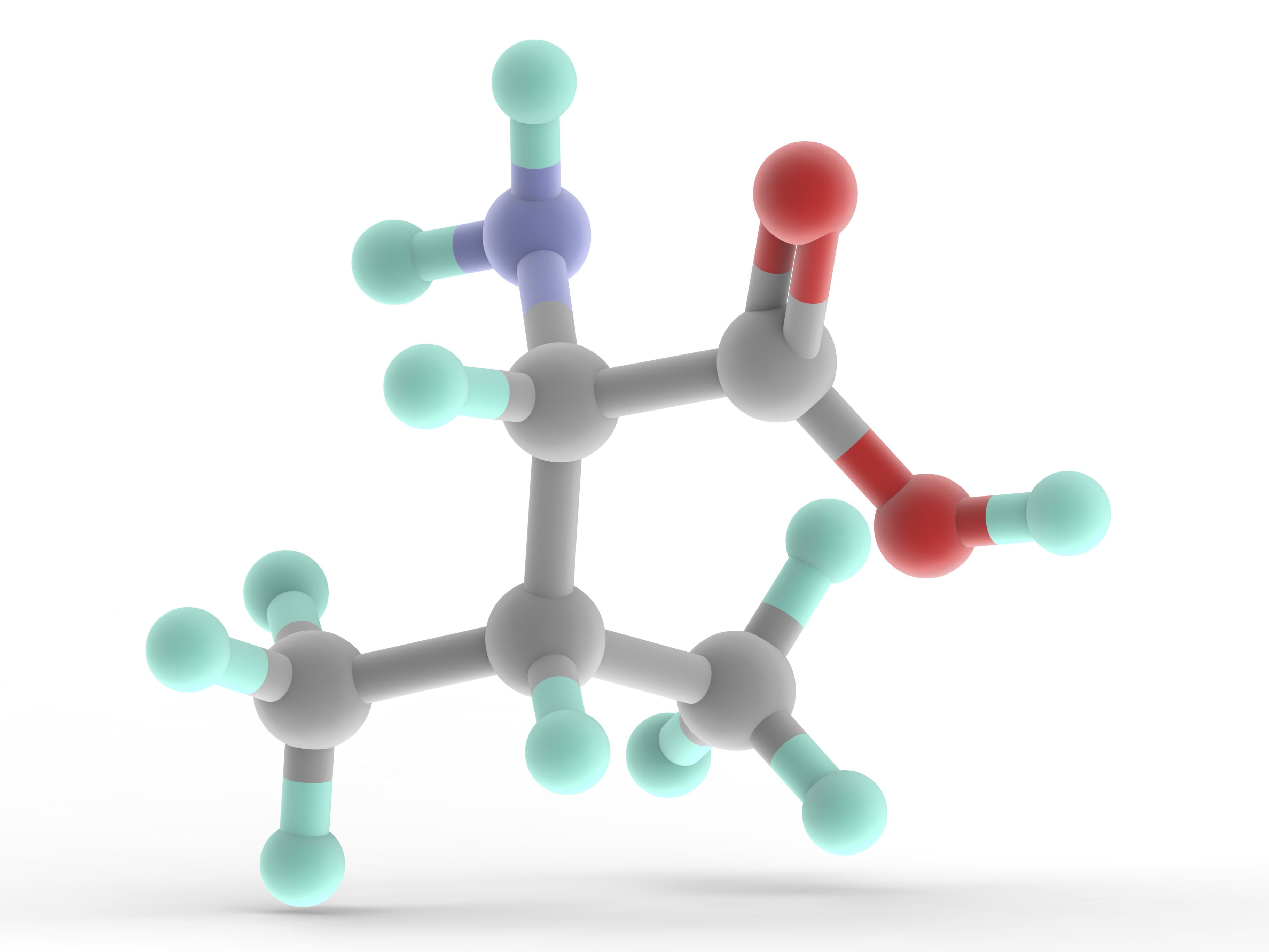 What Is The Names Of Organic Compounds