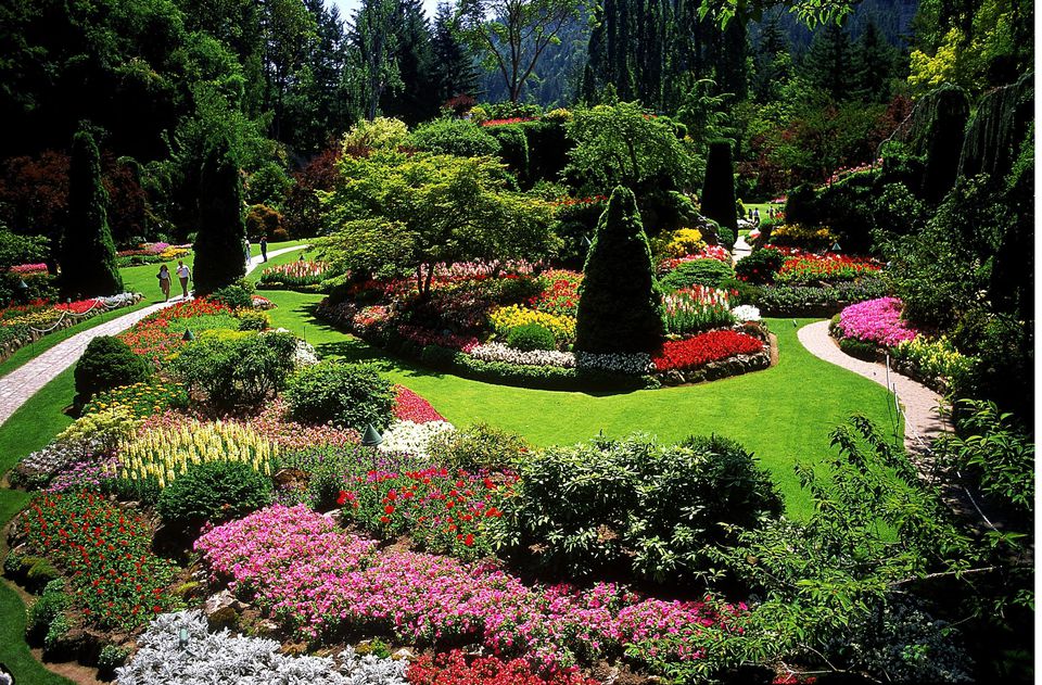 Designing a Garden With Landscape Design Principles